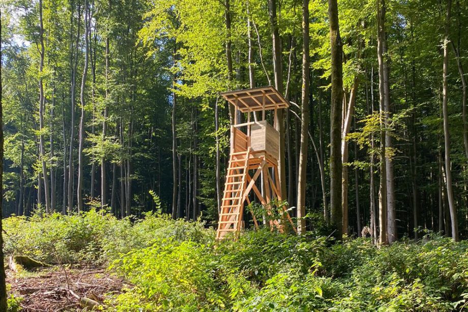 Hochsitze und Kanzeln